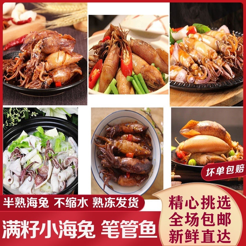 籽乌乌贼全籽海兔批发