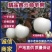 绥中优质苹果黄元帅苹果货源充足规格齐全质量保证