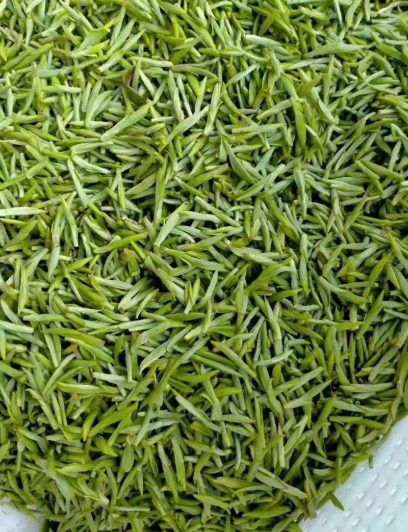 岳西翠兰，精品岳西石关高山茗茶，常年有货，欢迎采购