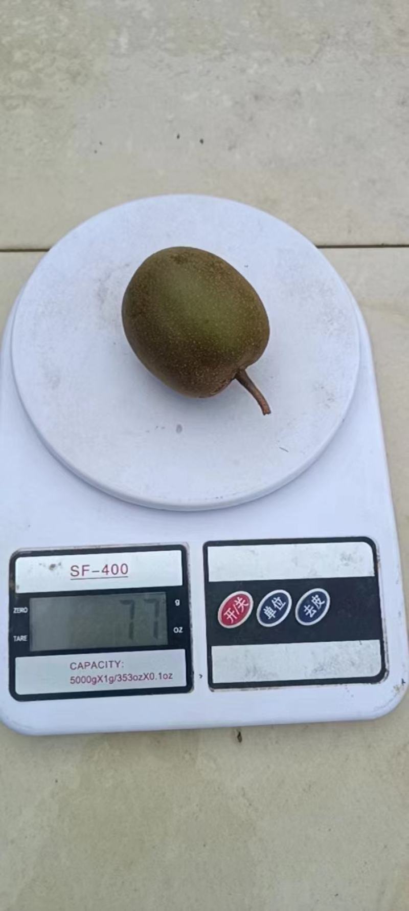云南省楚雄州牟定县东红红心猕猴桃300亩已成熟可摘