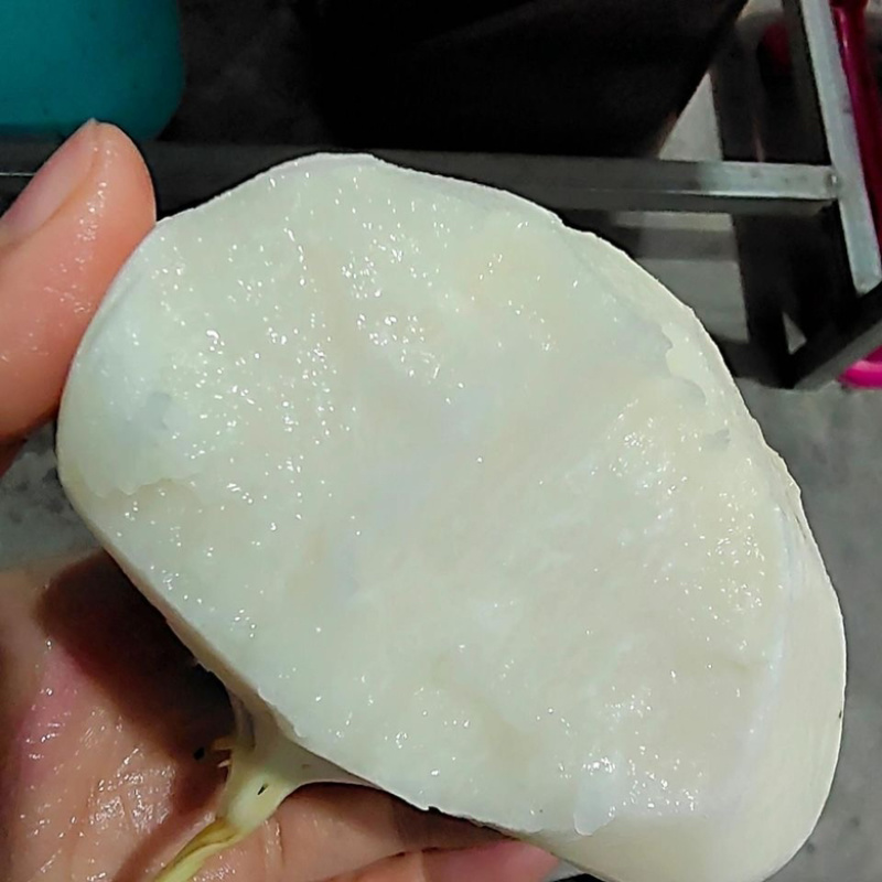 湖北凉薯地瓜豆薯沙葛/对接市场/电商/工厂
