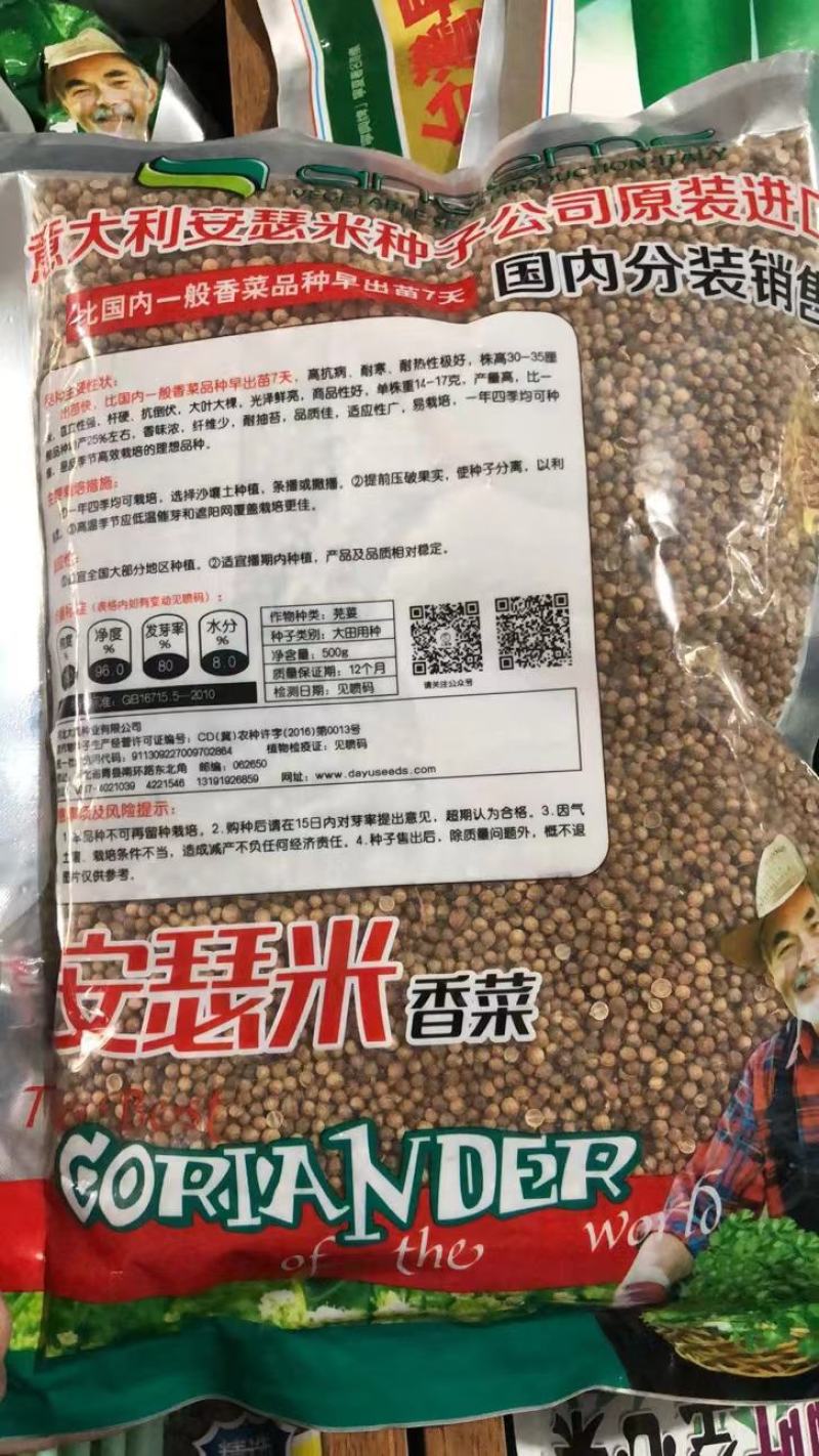 香菜种子四季速生小香菜种子芫荽种子四季可播种蔬菜籽