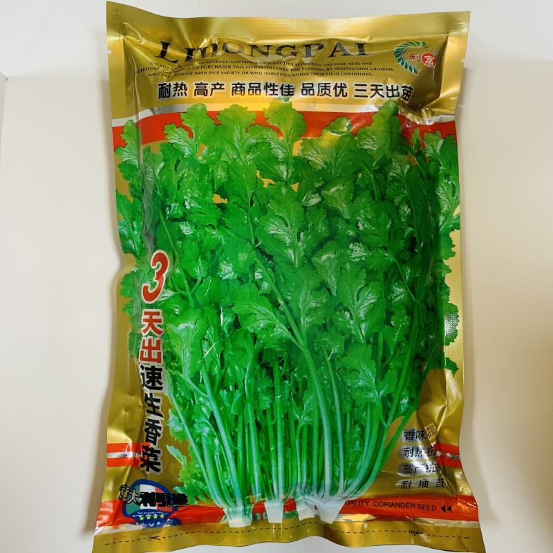 香菜种子四季香菜大叶芫荽种籽四季食用香菜籽蔬菜种籽