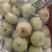 新鲜潮汕崩砍甜油柑，牛柑果，滇橄榄，余甘果