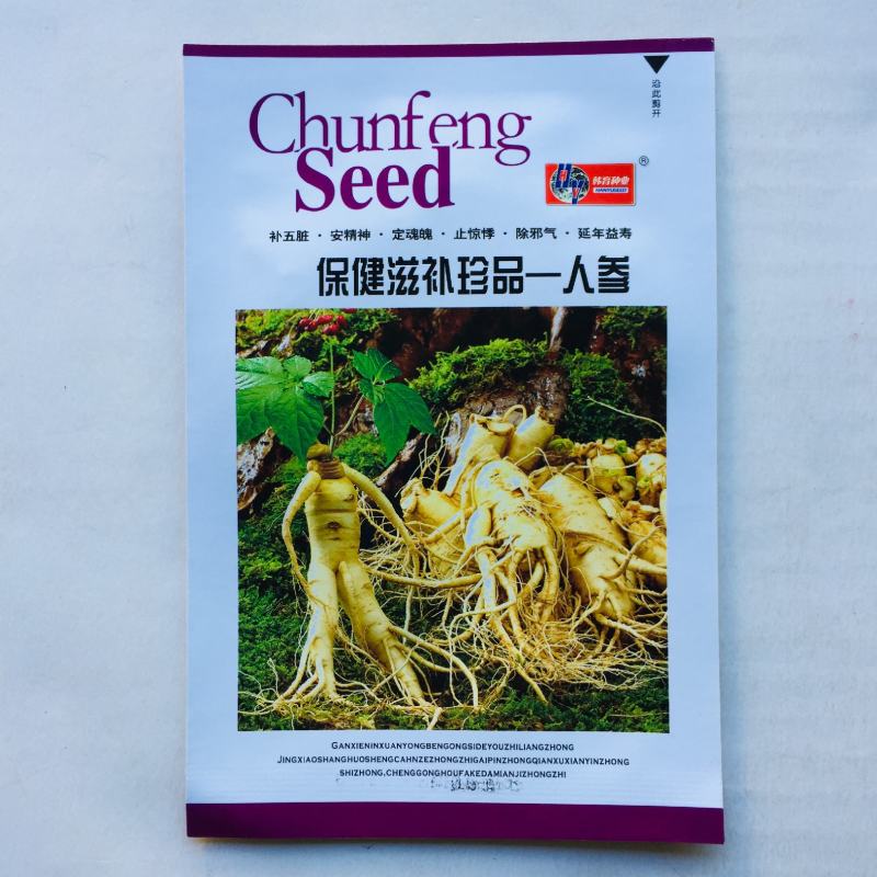 人参种子长白山野人参西洋参花旗参四季易发芽中药材种籽阳台