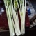 简阳市张家芹菜XT