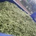 毛豆大量上市，要的赶快