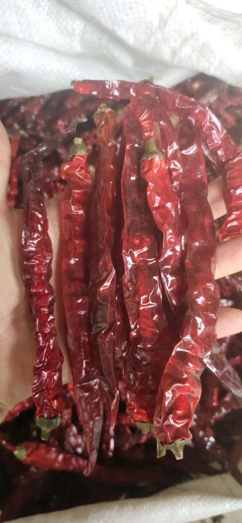 贵州二荆条干辣椒中辣特香辣椒面辣椒段节子餐饮商用批发