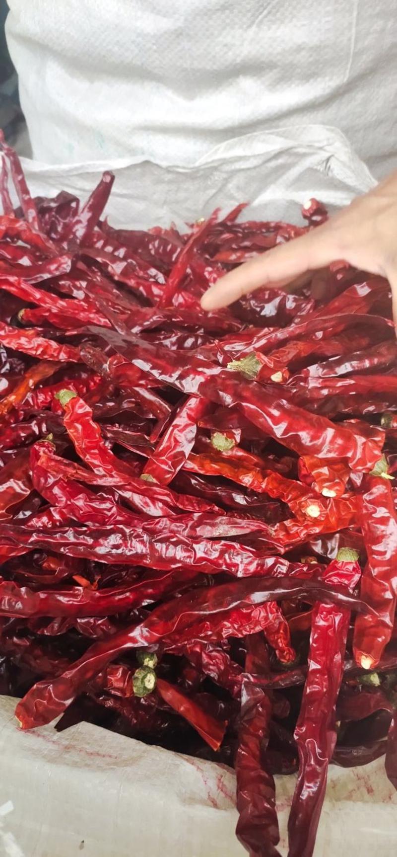 贵州二荆条干辣椒产地优质辣椒一手货源可长期合作供货批发