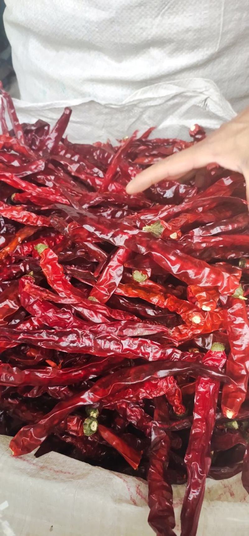 贵州二荆条干辣椒中辣特香辣椒面辣椒段节子餐饮商用批发
