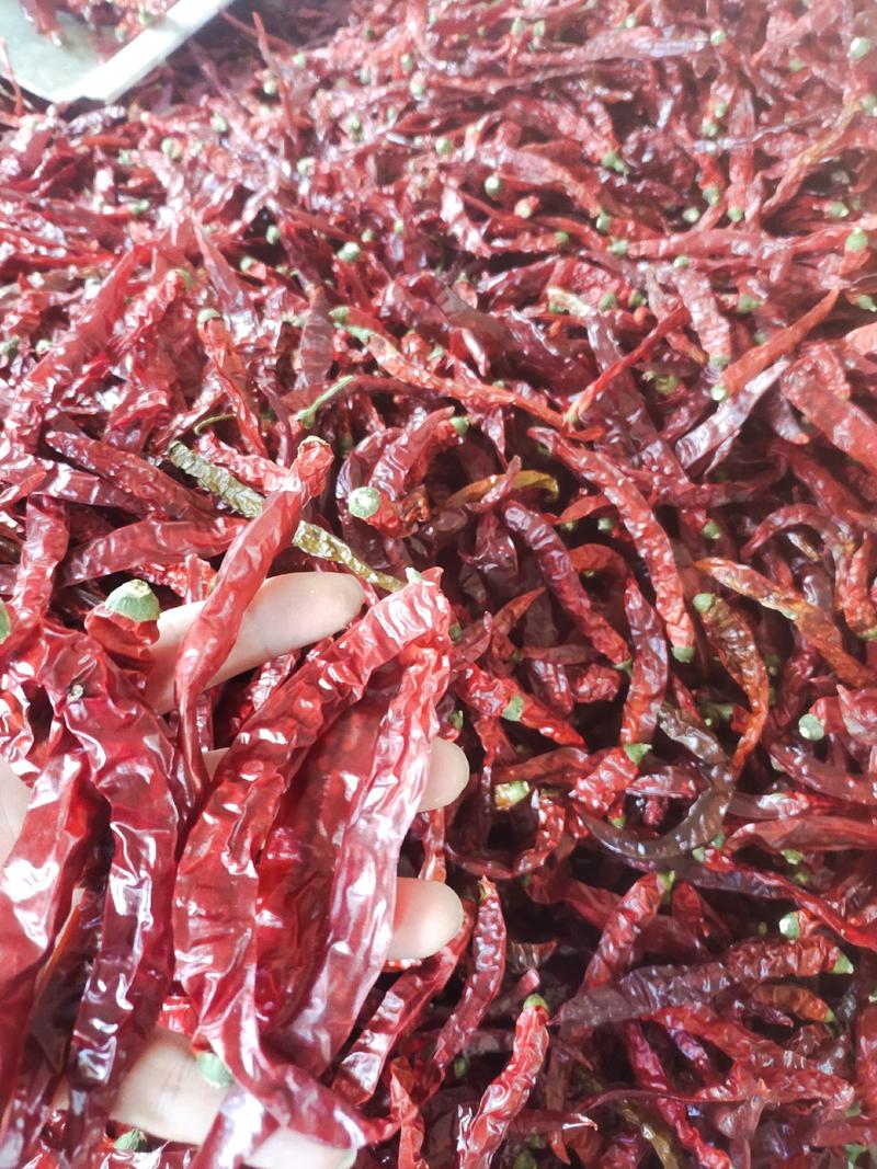 贵州二荆条干辣椒产地优质辣椒一手货源可长期合作供货批发