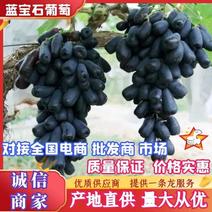 河北葡萄精品蓝宝石大量上市价格实惠质量保证欢迎