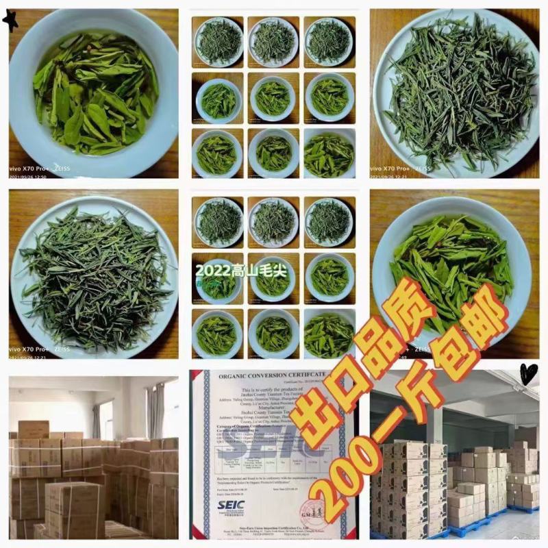 经典出口毛尖【炭火烘焙】中国+东南亚！不间断循环茶品！