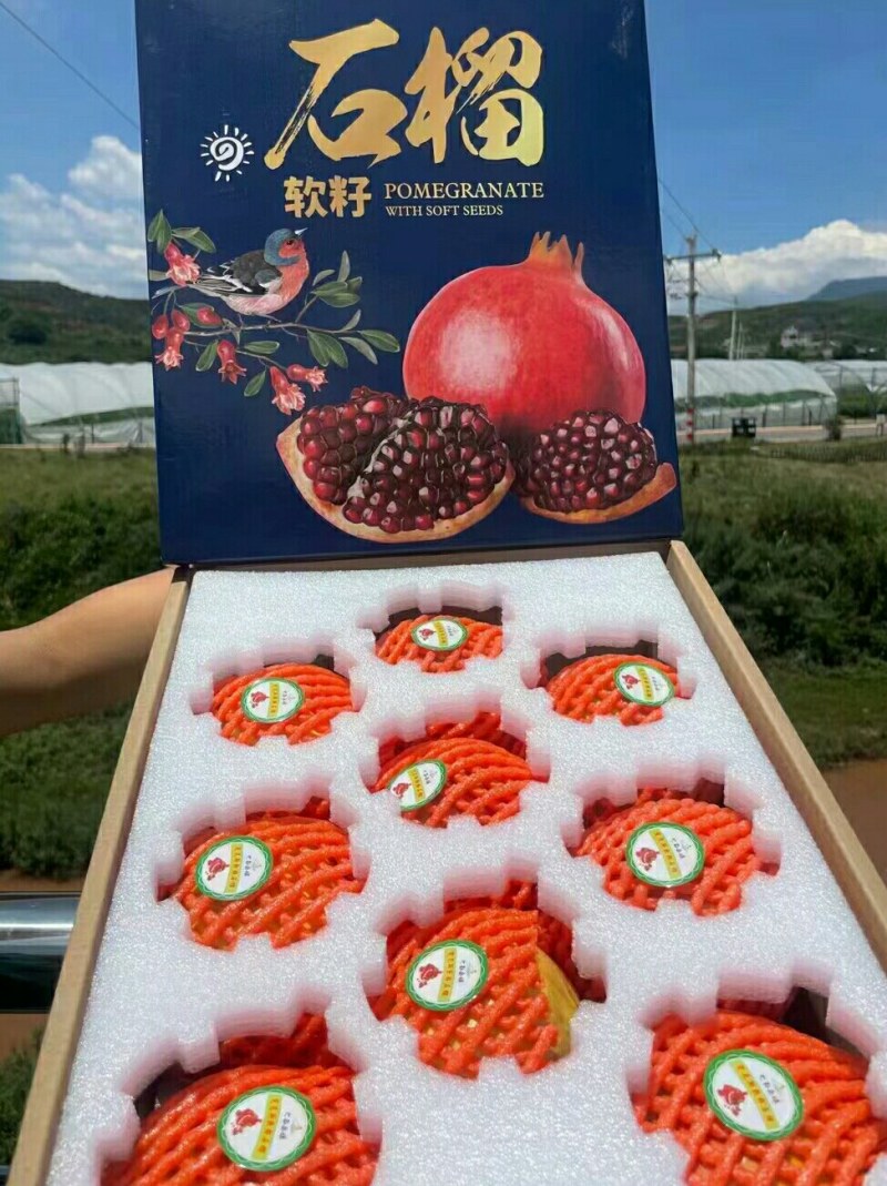 中国石榴之乡会理石榴