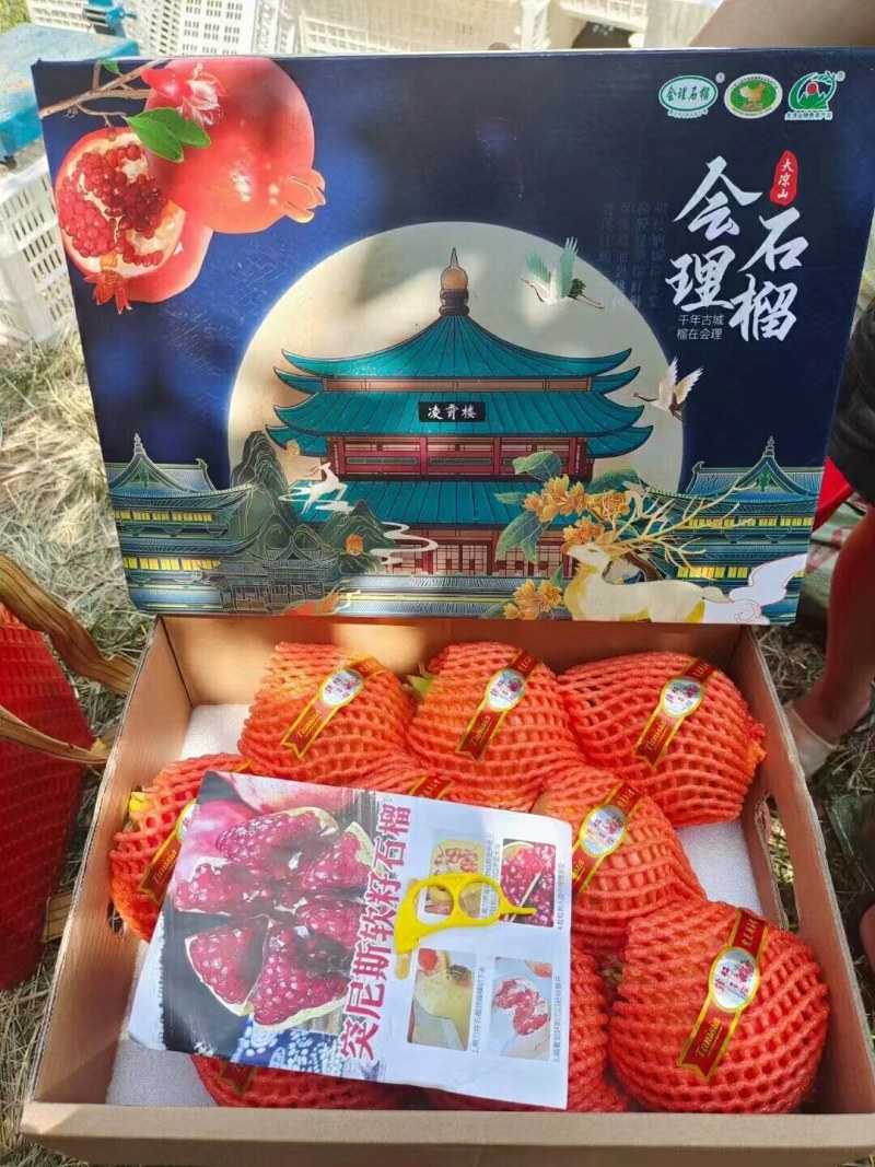 中国石榴之乡会理石榴
