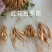 广西红花百部苗,基地直供,5个薯以上,货源充足,成品回收
