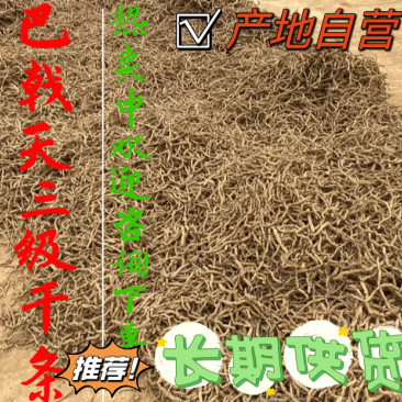 巴戟天带芯干条三级产地直供男性泡酒料中药材