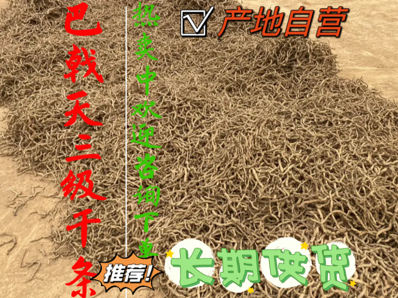 巴戟天带芯干条三级产地直供男性泡酒料中药材