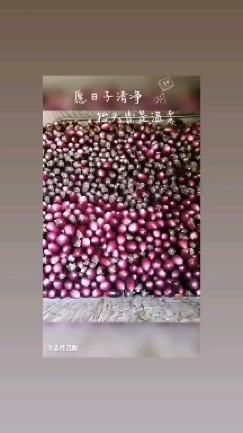 各种辣椒，茄子，