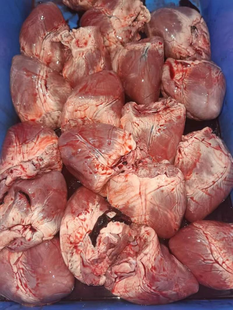 鲜猪心一级靓猪心，猪心价格随行就市新鲜保障