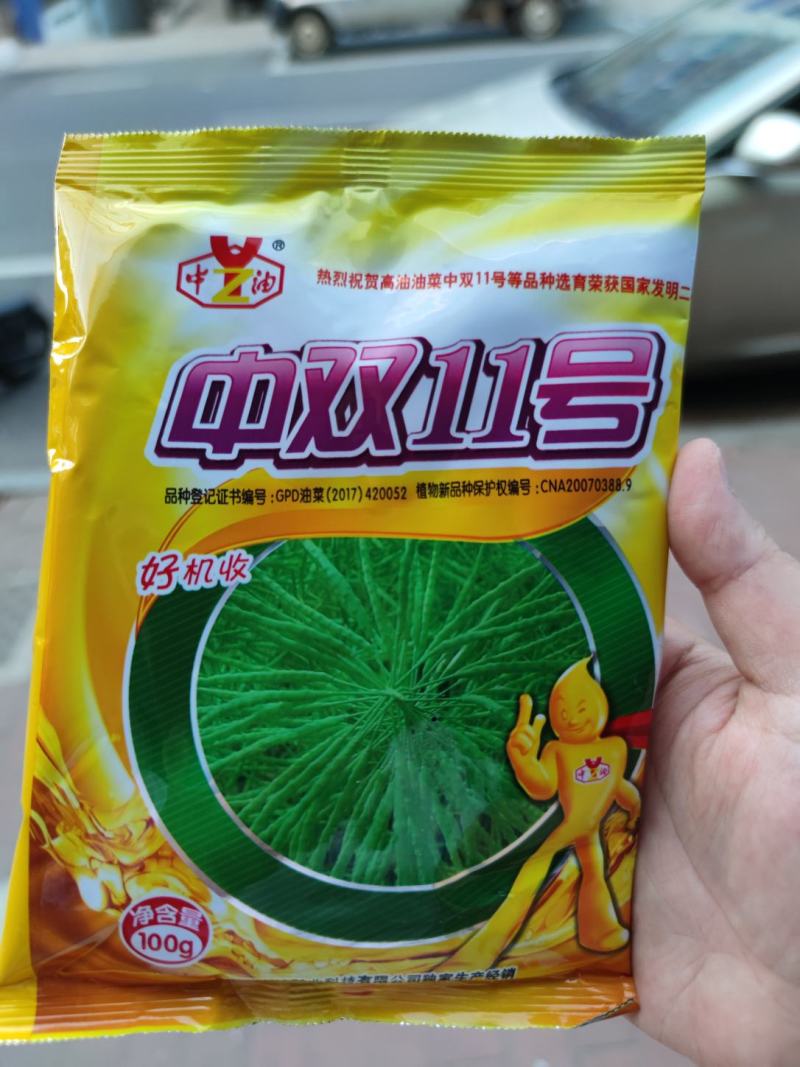 中双11油菜种子，100克，好机收