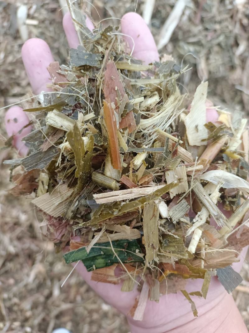 发酵青储压块裹包散装玉米全株压块