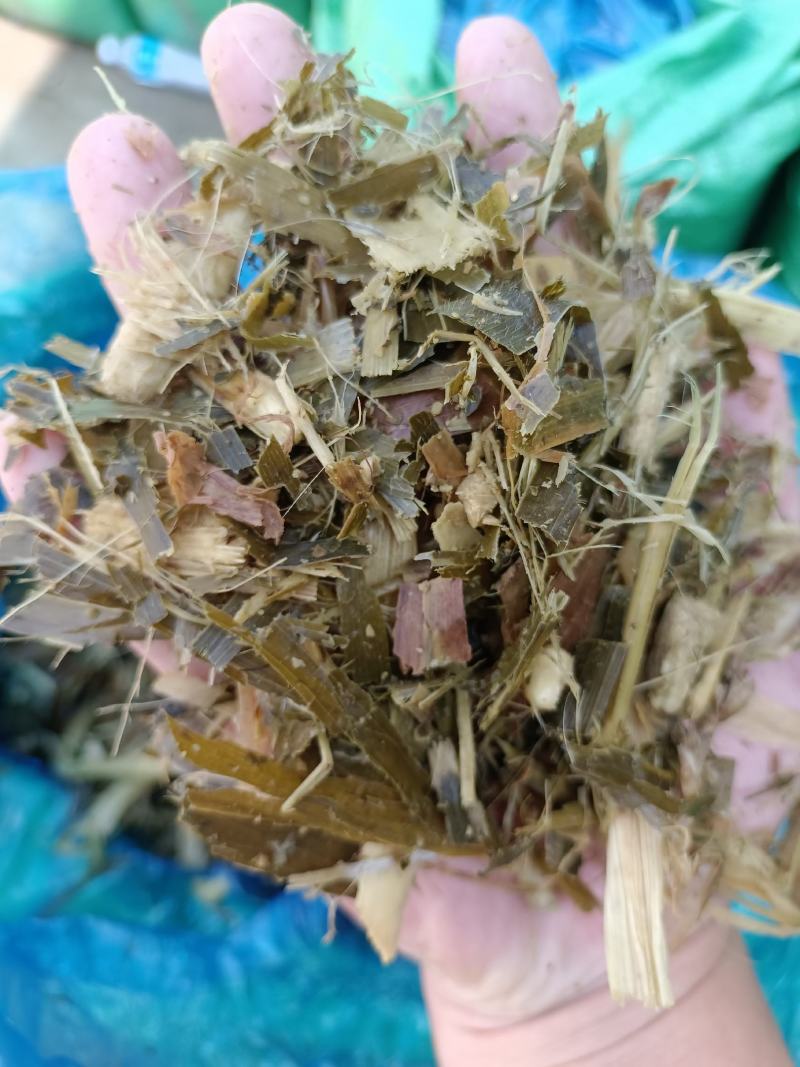 发酵青储压块裹包散装玉米全株压块