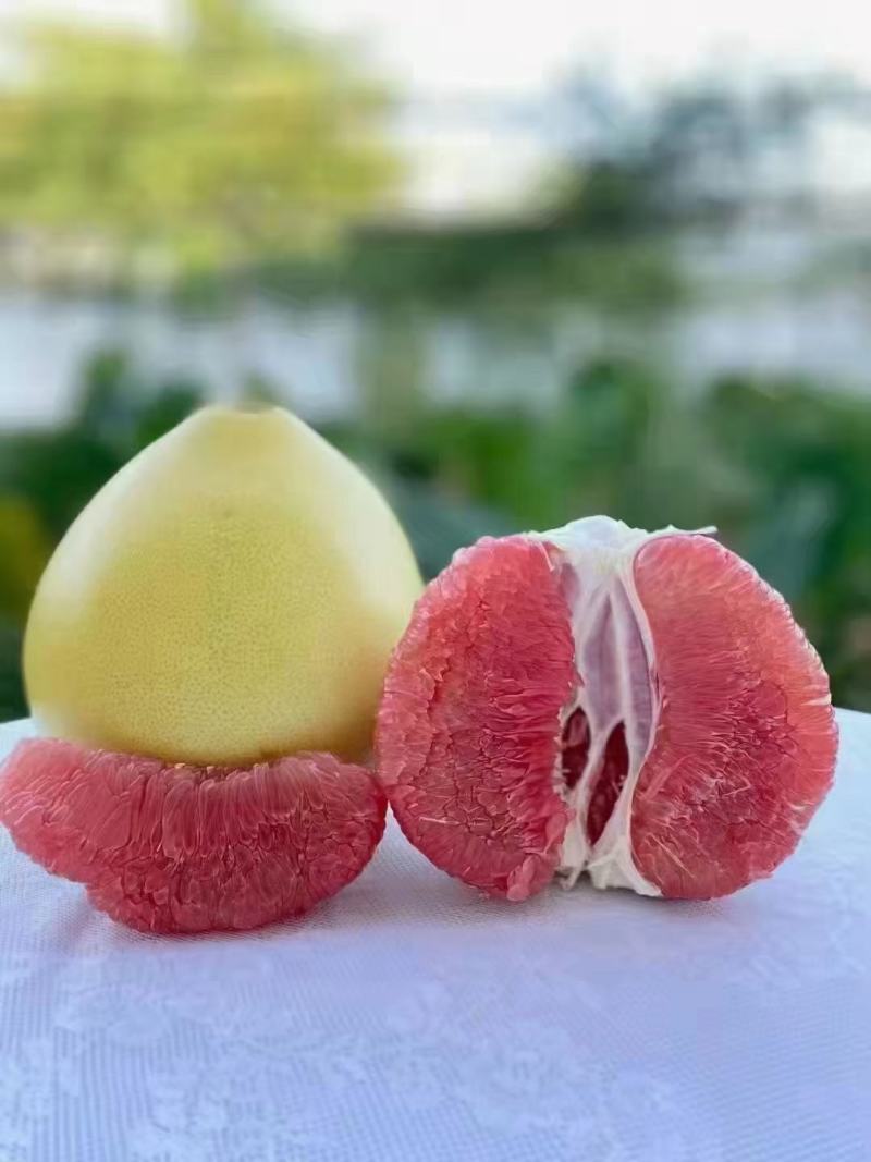 平和琯溪蜜柚