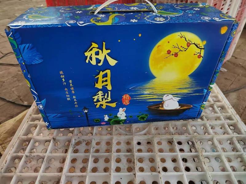 秋月梨丰水梨大量有货