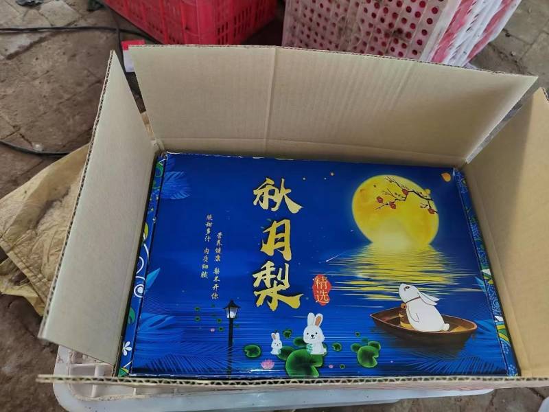 秋月梨丰水梨大量有货