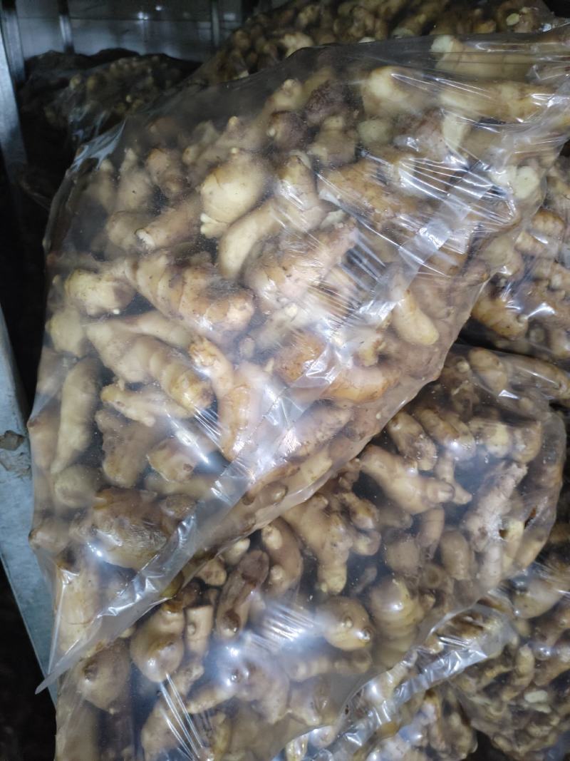 水洗姜把，带土姜把，电商货大量供应保质保量，全国发货。