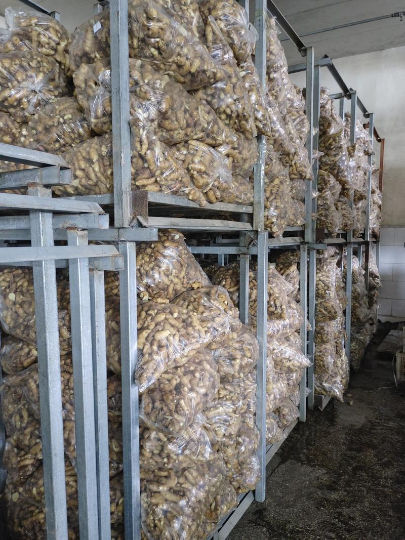 水洗姜把，带土姜把，电商货大量供应保质保量，全国发货。