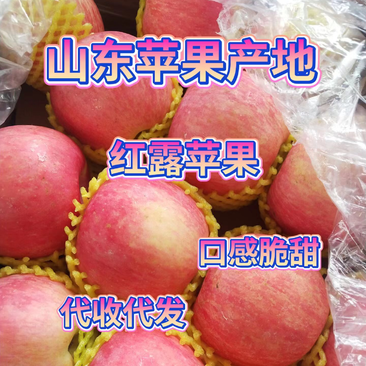红露苹果山东苹果产地批发口感脆甜一手货源优质推荐