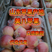 美八苹果山东苹果产地批发货源充足现以大量上市价格优惠