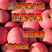 红星苹果山东苹果产地口感脆甜代办优质货源大量批发