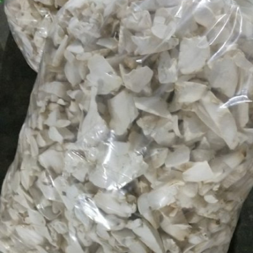 长期有货
