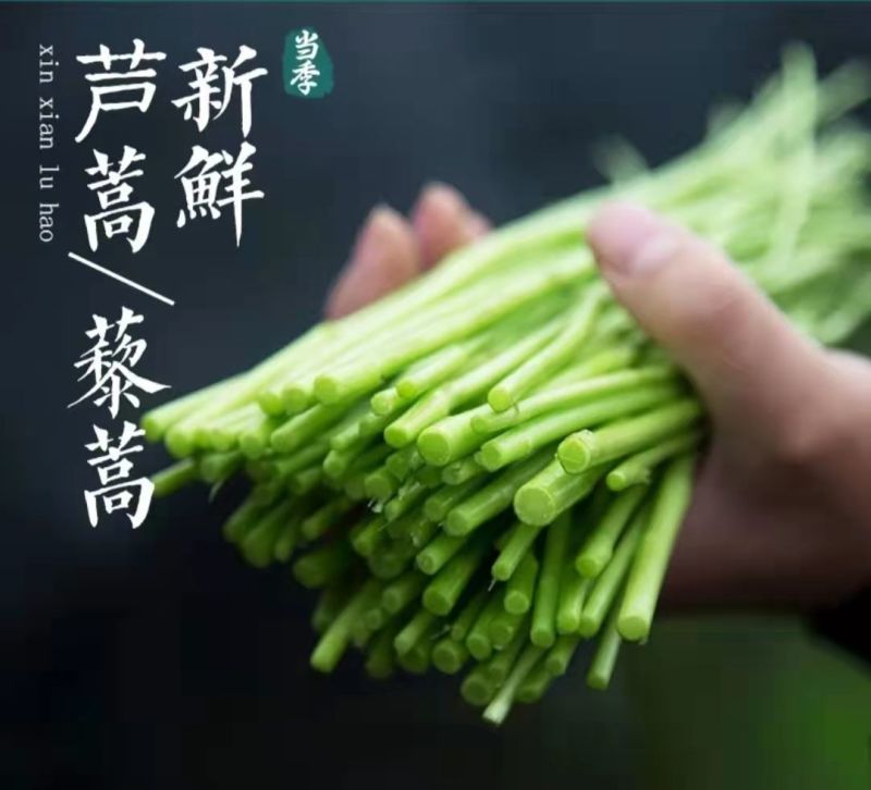 芦蒿精品，现割现卖，量大从优