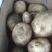黄心青薯9号土豆威宁大量出，批发学校，超市等等。