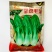 鸡毛菜种子四季播种抗热耐寒蔬菜种子阳台盆栽易种小青菜籽