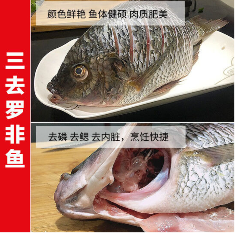 三去福寿鱼，活鱼加工，适合餐厅、快餐一手货源