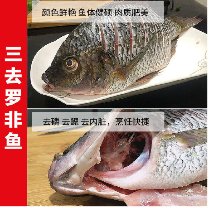 三去罗非鱼，100%活鱼加工，适合餐厅、快餐一手货源