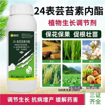 0.01%芸苔素内酯内酯素壮苗保花果缓解药害增产花卉调节