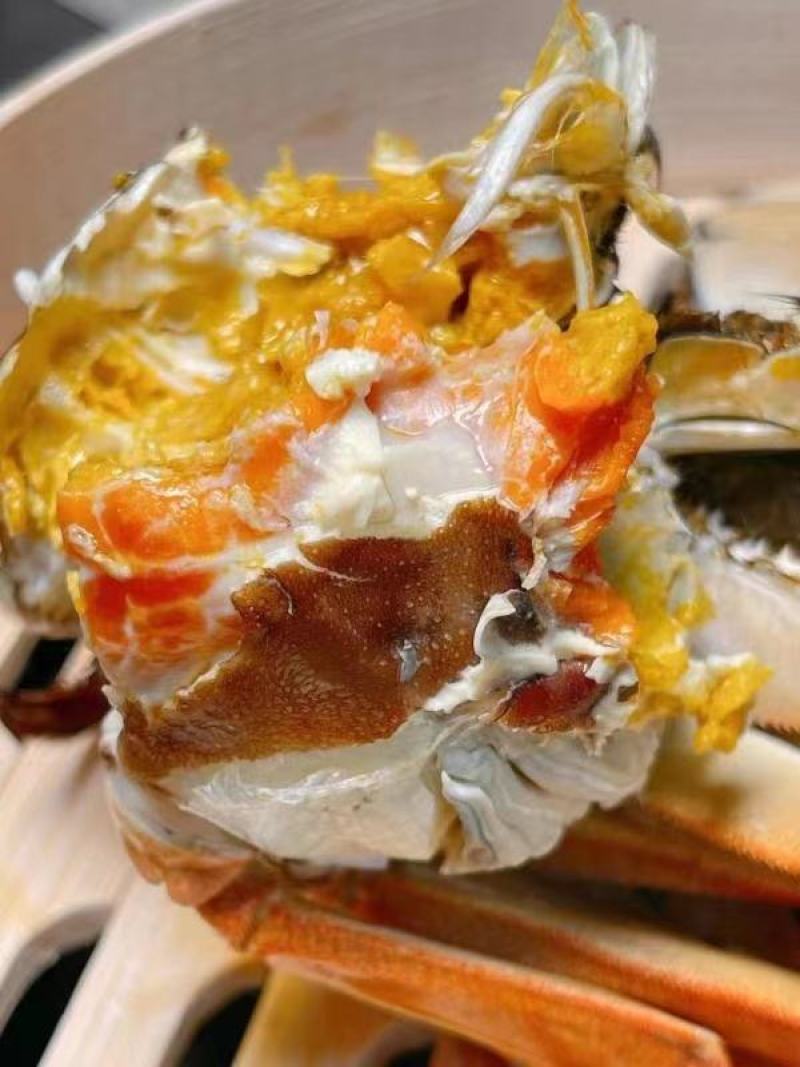 精品固城湖大闸蟹，肉质鲜美，水源好，欢迎老板来电咨询