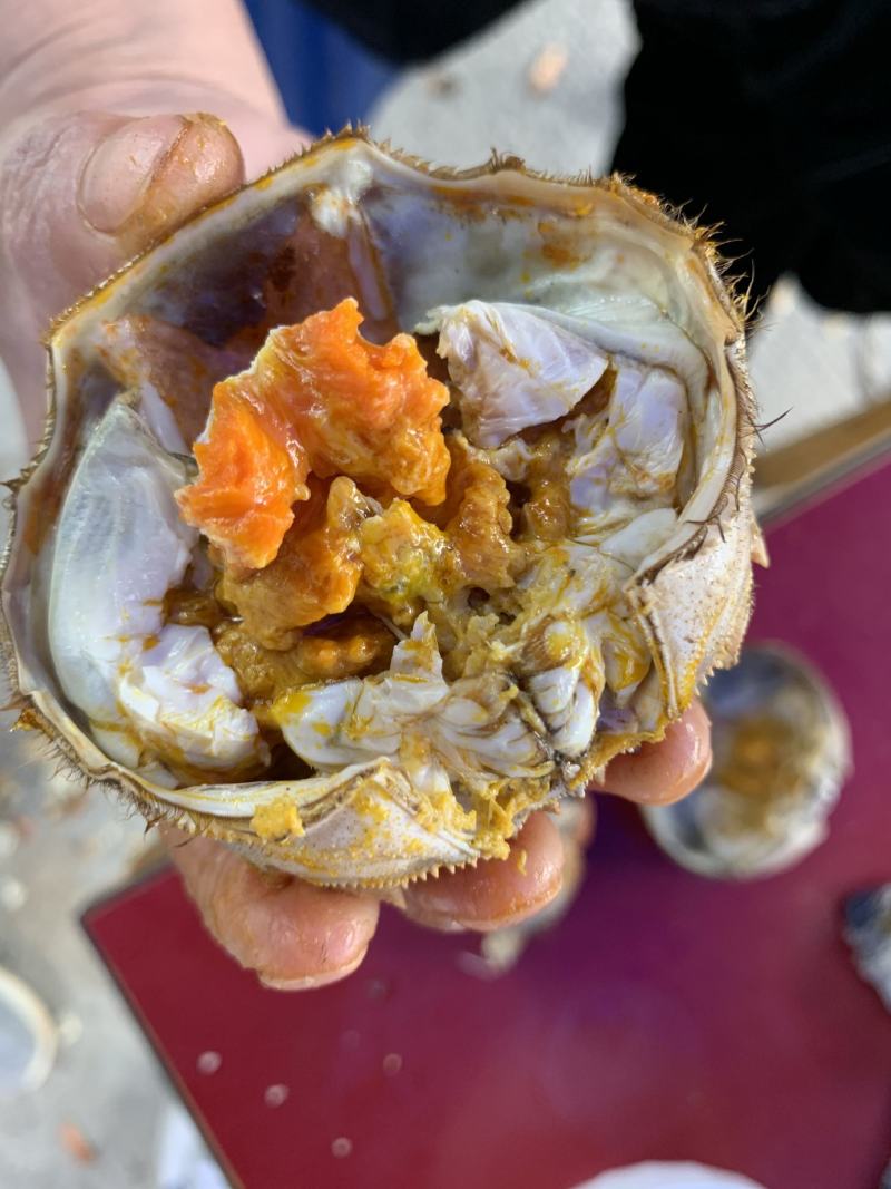 精品固城湖大闸蟹，肉质鲜美，水源好，欢迎老板来电咨询