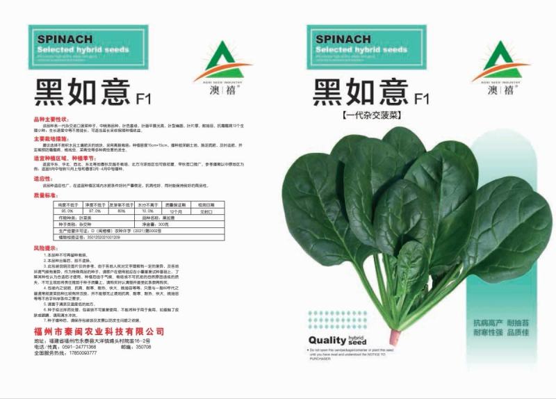 黑如意大叶菠菜种子四季蔬菜秋冬籽易种抗病耐热寒越冬速生种