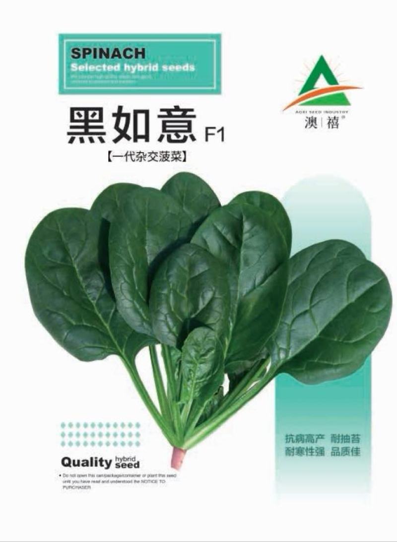 黑如意大叶菠菜种子四季蔬菜秋冬籽易种抗病耐热寒越冬速生种