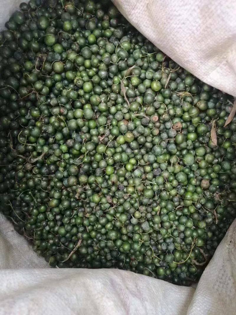 多花鸡头老虎姜黄精种子