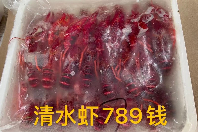 潜江2024年新品冻清水虾规格齐全，全年供应