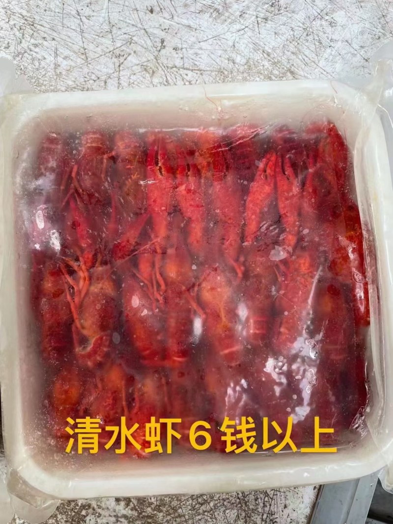 潜江2024年新品冻清水虾规格齐全，全年供应