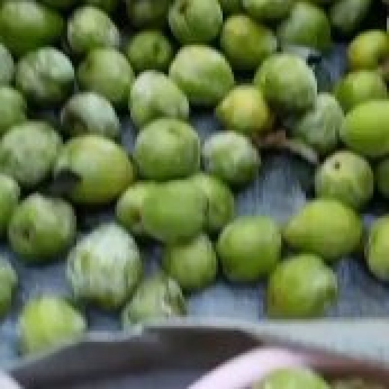冷库奈李